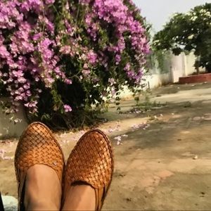 Meet your Posher, Molly